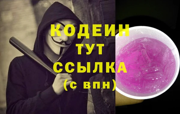 2c-b Горнозаводск