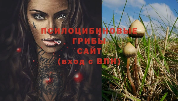 2c-b Горнозаводск