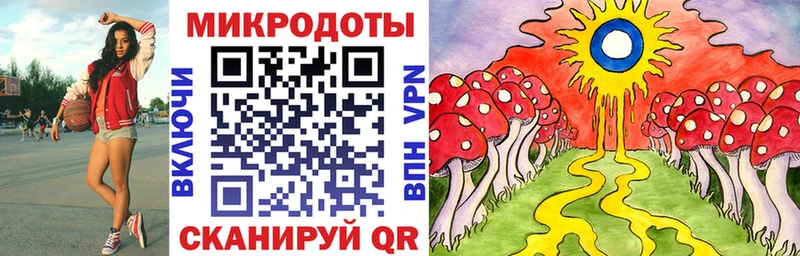 Купить где  Макушино  Псилоцибиновые грибы Cubensis 
